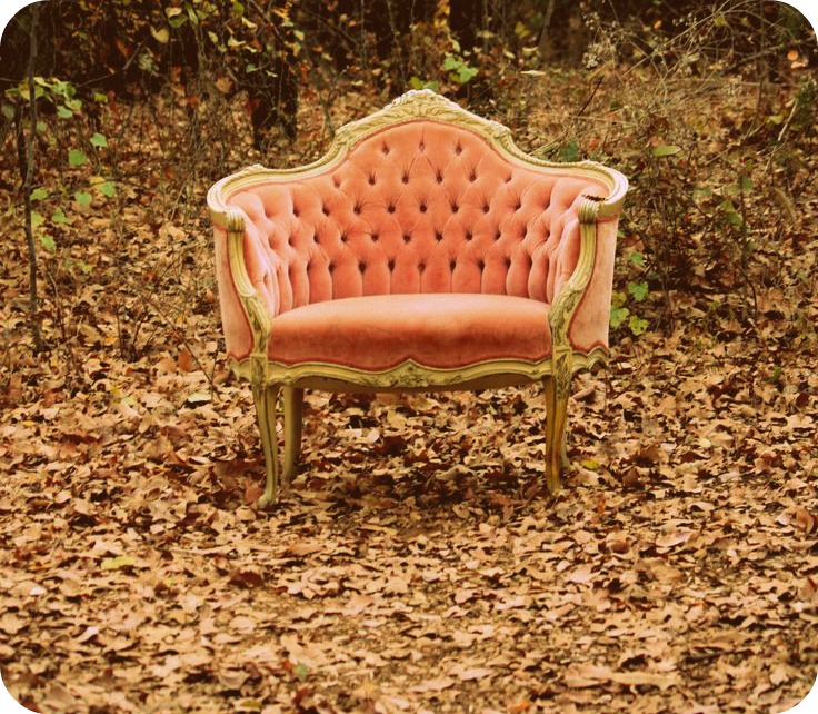 IMRN: VELVET